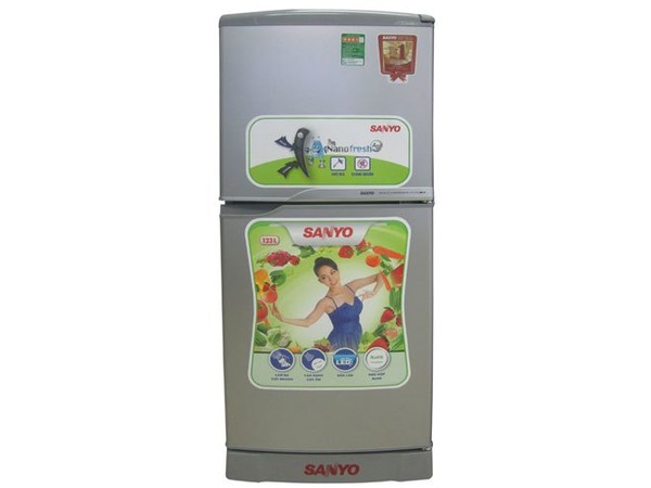 Tu Lanh Sanyo Sr 125pn Ss 1